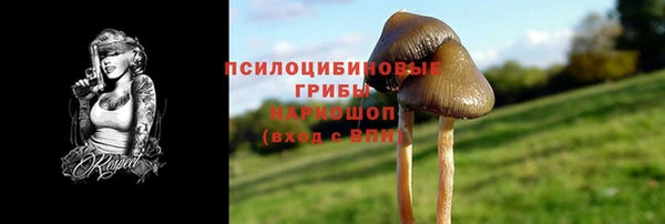 герыч Верхний Тагил