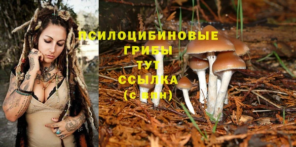 каннабис Верея